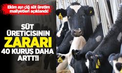 Ekim’de çiğ süt üretim maliyeti yükseldi: Üreticinin zararı 40 kuruş daha arttı!