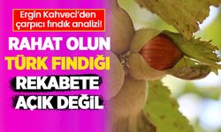 Ergin Kahveci: Rahat olun Türk fındığı rekabete açık değil!
