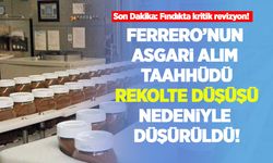 Son Dakika: Fındıkta kritik revizyon! Ferrero'nun asgari alım taahhüdü rekolte düşüşü nedeniyle düşürüldü!