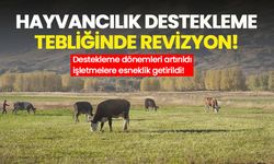 Hayvancılık desteklerinde yeni dönem: Bakanlık kriterleri yeniden belirledi