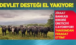 Devlet desteği el yakıyor! Ziraat Bankası kredisi üreticiyi caydırıyor: 'Hakkımdan feragat ettim!'