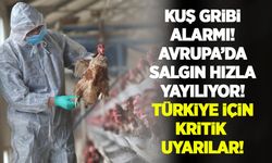 Kuş gribi çok hızlı yayılıyor acil önlem alınmalı: H5N5 kuş gribinin ilk insan vakası doğrulandı!