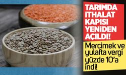 Tarımda ithalat kapısı yeniden açıldı: Mercimek ve yulafta vergi yüzde 10’a indi!