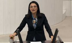 Çiftçi destekleri masrafların sadece yüzde 11’ini karşılıyor