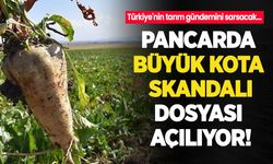 Türkiye'nin tarım gündemini sarsacak pancarda büyük 'kota skandalı' dosyası açılıyor!
