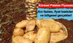 Dünya patates krizinde: Fransa ve Polonya'daki arz fazlası fiyatları çökertti; Türk çiftçisi zararda!