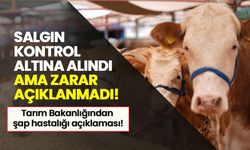 Tarım ve Orman Bakanlığı şap hastalığı hakkında bilgilendirme yaptı