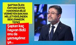 Tarım Bakanına milletvekilinden beklenmedik tepki: Şaptan kaç hayvan öldü, onu da yazsaydınız ya...