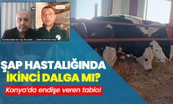 Konya’dan endişe veren tablo: Şap hastalığı ikinci dalga mı?