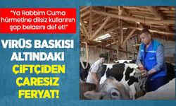 “Cuma hürmetine dilsiz kullarının şap belasını def et!” Konya’da virüs baskısı altındaki çiftçiden çaresiz feryat
