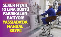 Şeker fiyatı 10 lira düştü, fabrikalar batıyor, Yassıada’da mangal keyfi!