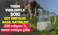 TİGEM verileriyle şok: Süt üreticisi nasıl batırıldı? 225 milyon TL zarar ortaya çıktı