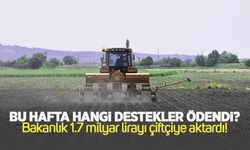 Bu hafta hangi destekler ödendi? Bakanlık 1,7 milyar lirayı çiftçiye aktardı