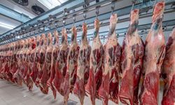 ESK dana kesim fiyatı 331 TL’de kaldı, piyasa 528 TL’ye yükseldi