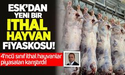 ESK'dan yeni bir ithal et fiyaskosu: 4'ncü sınıf ithal et piyasaları karıştırdı!