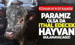 Küresel et krizi kapıda: Paramız olsa da ithal edecek hayvan bulamayacağız!