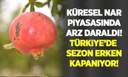 Küresel nar piyasasında arz daraldı, Türkiye’de sezon erken kapanıyor
