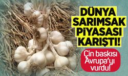 Dünya sarımsak piyasası karıştı: Çin baskısı Avrupa’yı vurdu
