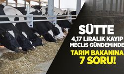 Sütte 4,17 liralık kayıp Meclis gündeminde: Tarım Bakanına 7 soru