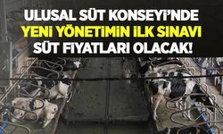 Ulusal Süt Konseyi’nde yeni yönetim, ilk sınav süt fiyatı olacak