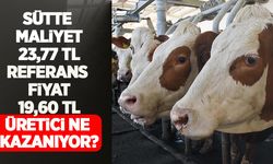 Sütte maliyet 23,77 TL, referans fiyat 19,60 TL: Üretici ne kazanıyor?