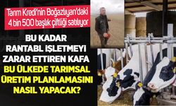 Tarım Kredi’nin Boğazlıyan’daki 4 bin 500 başlık çiftliği satılıyor