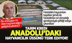 Tarım Kredi hayvancılıkta Anadolu’dan çekiliyor!