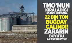 TMO’nun kiraladığı lisanslı depoda buğday skandalı: Zarar 800 milyon liraya kadar çıkabilir