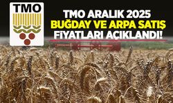 TMO Aralık 2025 buğday ve arpa satış fiyatları açıklandı