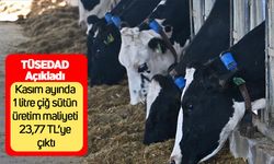 TÜSEDAD açıkladı: Kasım ayında 1 litre çiğ sütün üretim maliyeti 23,77 TL’ye çıktı
