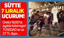 Sütte 7 liralık uçurum: Üretici 19,60’la ayakta kalamıyor, TÜSEDAD “en az 27 TL” diyor