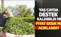 Yaş çayda destek kaldırıldı mı, fiyat eksik mi açıklandı?