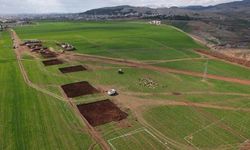 Adıyaman tarımında çarpık tablo: 4 yılda alan büyüdü, üretim düştü