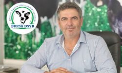 Bursa DSYB’den üreticiye 1400 liralık buzağı desteği