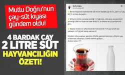 Süt–çay kıyası gündem oldu: Mutlu Doğru’dan çarpıcı hesap