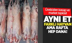Üreticiden kasap ve market tepkisi: Aynı et, farklı hayvan ama rafta hep dana!