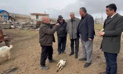 50 bin baştan 2 bin 500’e: Bir köyde hayvancılığın çöküşü