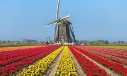 Hollanda tarımda ithalatla büyüyor: Kahveci’den ezber bozan ticaret analizi