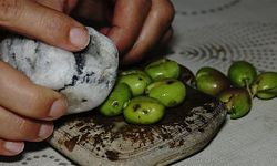 Evde kırık zeytin nasıl yapılır?