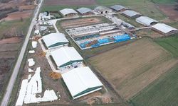 Tarım Kredi Hayvancılık’tan “Boğazlıyan tesisi” açıklaması: Arilik belgesi geçerlidir