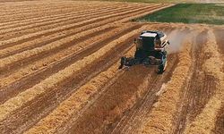 2025 yılı temel destek ve planlı üretim desteği ödeme icmalleri askıya çıkarıldı