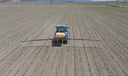 Çanakkale’de tarıma yatırım neden cazip? Üretim gücü ve yatırım avantajları açıklandı
