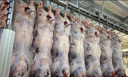 Sığır kesim fiyatları 2026: 27 Şubat inek, dana ve düve kesim fiyatları belli oldu