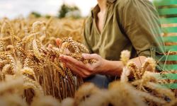 Enflasyon ve kurdan bağımsız tarım mümkün mü? İşte çiftçiyi kurtaracak o "Net Değer" analizi