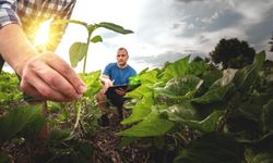 Avrupa’daki çiftçiler ne kadar kazanıyor? Tarımsal destekler çıkarılınca gelirler düşüyor