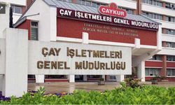 ÇAYKUR “raporun tarihi ve kapsamı yok” dedi: İşte mahkemeye sunulan bilirkişi raporu