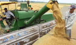 Hububat fiyatlarında kritik sinyal: 16 Şubat 2026 borsa rakamları ne söylüyor?