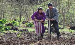 Türkiye’de kırsal nüfus gerçekten ne kadar? Uzman isimden dikkat çeken uyarı