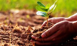 Organik tarım ve iyi tarım destek başvuruları için süre uzatıldı