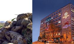 Türkşeker gerçekleri böyle manipüle etti: Çeltik’e 235 bin tonluk pancar aktarımının perde arkası